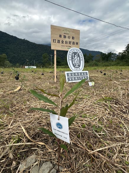 植樹活動の写真