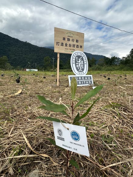 植樹活動の写真