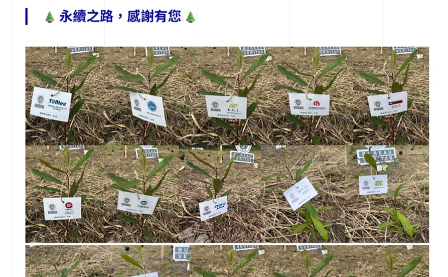 植樹活動の写真